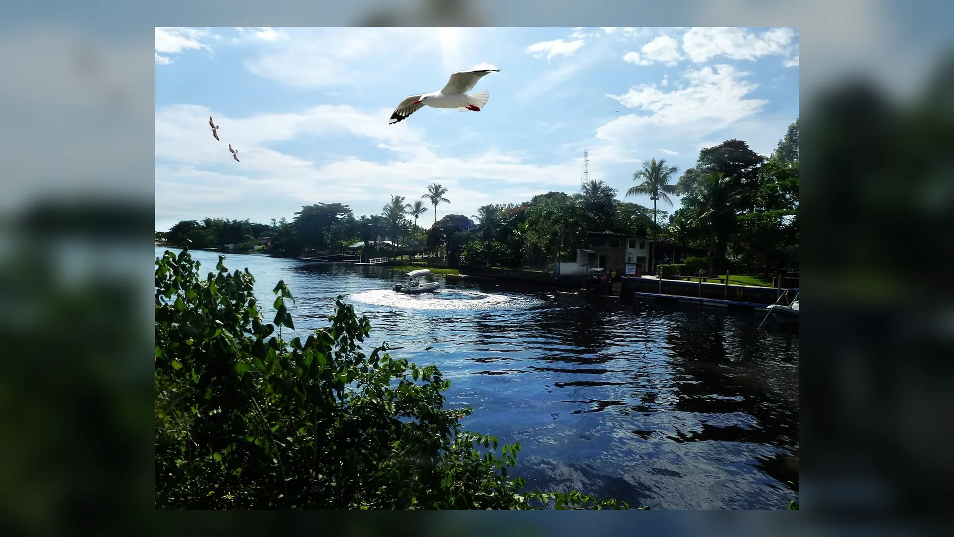 Aparados da Serra forests and waters in Brazil.