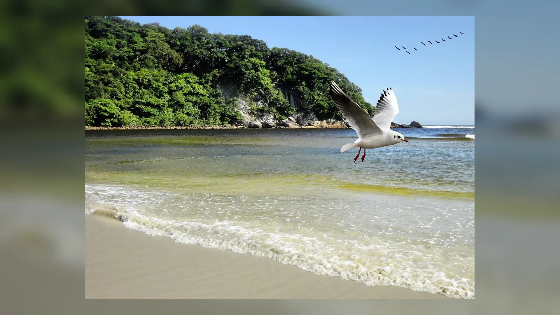 Fortaleza Beira Mar in Brazil.