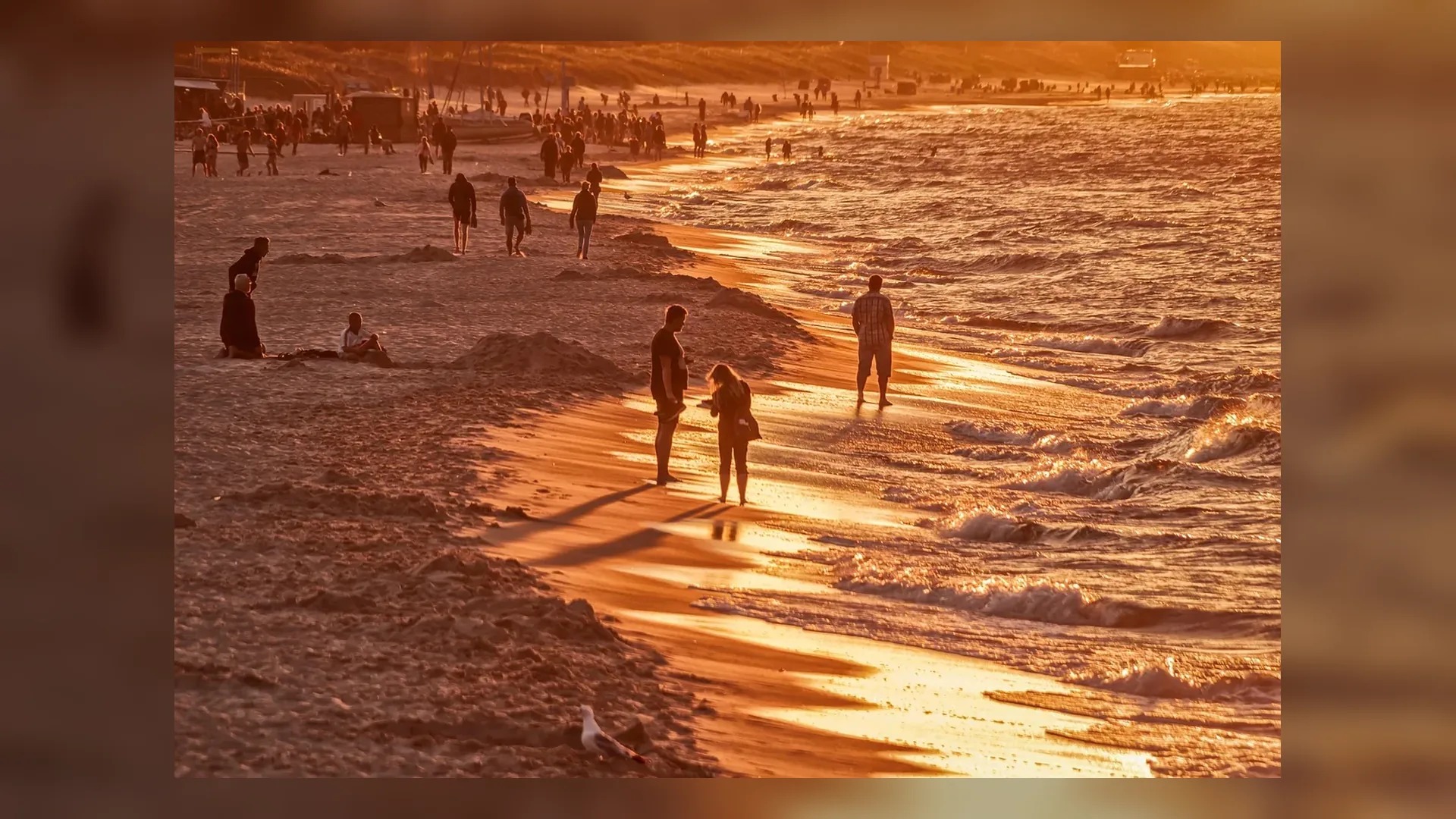 Bombinhas peninsula at golden hour in Brazil.